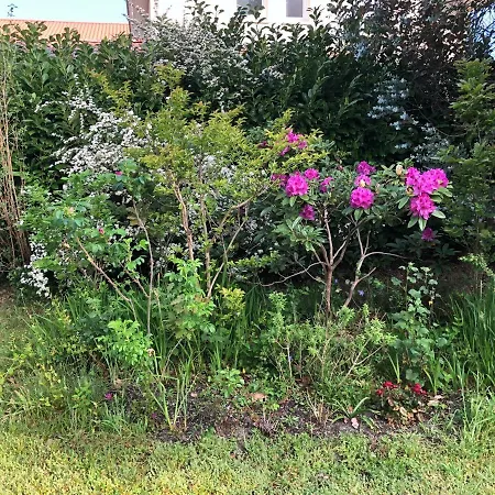 Penzion Les Chenes 4*